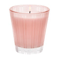 Diptyque Himalayan Salt & Rosewater Candle